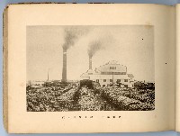 登錄號:KH2003.008.0180藏品圖，第22張