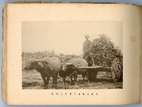 登錄號:KH2003.008.0180藏品圖，第32張