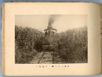 登錄號:KH2003.008.0180藏品圖，第34張