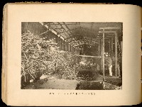 登錄號:KH2003.008.0180藏品圖，第37張