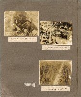 登錄號:KH2003.008.0186藏品圖，第26張
