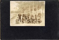 登錄號:KH2003.008.0204藏品圖，第11張