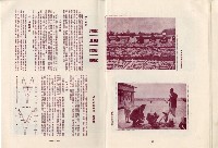 登錄號:KH2003.008.0329藏品圖，第15張