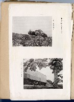 登錄號:KH2003.008.0331藏品圖，第2張