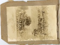 登錄號:KH2003.008.0386藏品圖，第18張