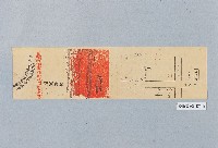 登錄號:KH2003.008.0407藏品圖，第1張