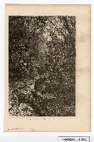 約翰‧湯姆生（John Thomson）的臺灣南部圖像藏品圖，第21張