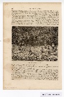 約翰‧湯姆生（John Thomson）的臺灣南部圖像藏品圖，第26張