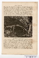 約翰‧湯姆生（John Thomson）的臺灣南部圖像藏品圖，第27張