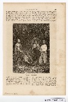 約翰‧湯姆生（John Thomson）的臺灣南部圖像藏品圖，第31張