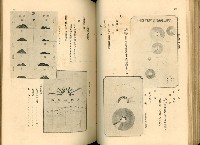 《高雄港勢展覽會誌》藏品圖，第65張