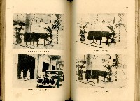 《高雄港勢展覽會誌》藏品圖，第91張