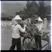 屏東來高賣花藏品圖，第1張