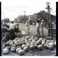 西瓜小販藏品圖，第1張