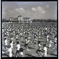 臺灣省第五屆運動會小學生表演藏品圖，第1張