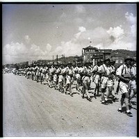 陸戰隊慶祝雙十國慶藏品圖，第1張