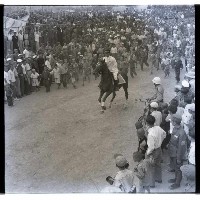 賽馬藏品圖，第1張