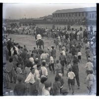 賽馬藏品圖，第1張