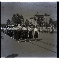 慶祝雙十國慶的圖片