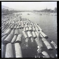 愛河上的原木藏品圖，第1張