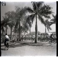 暑期青年騎自行車旅行藏品圖，第1張