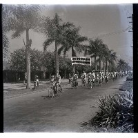 暑期青年騎自行車旅行藏品圖，第1張