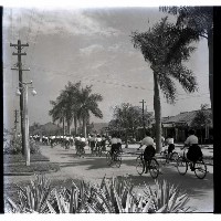 暑期青年騎自行車旅行藏品圖，第1張