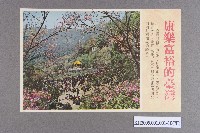 空飄反共宣傳單藏品圖，第18張