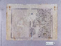 機械油配給申請書（臺灣不動產株式會社）藏品圖，第2張