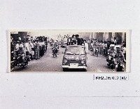 金龍少棒凱旋相片-2藏品圖，第1張