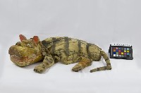 老虎道具藏品圖，第1張