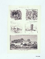 倫敦畫報石版印刷（31）藏品圖，第1張