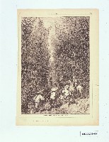 HLLE畫報石版印刷（28）藏品圖，第1張