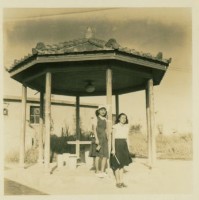 第五屆全省運動大會特撮高雄市體育場內含照片48張藏品圖，第22張