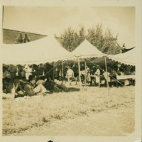 第五屆全省運動大會特撮高雄市體育場內含照片48張藏品圖，第25張