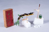 竹製彩繪童玩藏品圖，第1張