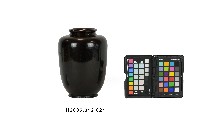 彩繪磨顯竹筏紋漆瓶藏品圖，第2張