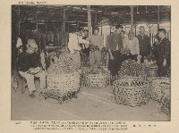 《臺灣的風光》寫真冊藏品圖，第32張