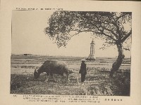 《臺灣的風光》寫真冊藏品圖，第35張