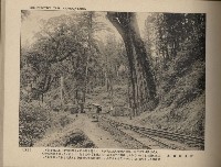 《臺灣的風光》寫真冊藏品圖，第40張