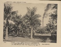 《臺灣的風光》寫真冊藏品圖，第51張