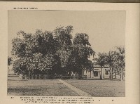 《臺灣的風光》寫真冊藏品圖，第52張