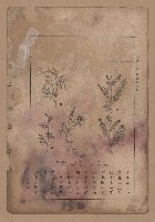 《補習學校農業教科書土壤肥料篇》藏品圖，第89張