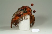 繡花盤龍神明帽冠-1藏品圖，第1張