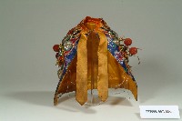 繡花盤龍神袍-3藏品圖，第1張