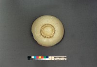 登錄號:KH2006.013.0008藏品圖，第11張