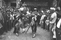 登錄號:KH2006.014.0013藏品圖，第1張