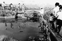 登錄號:KH2006.014.0076藏品圖，第1張