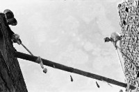 登錄號:KH2006.014.0086藏品圖，第1張