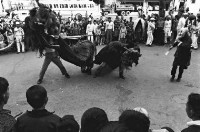 登錄號:KH2006.014.0091藏品圖，第1張